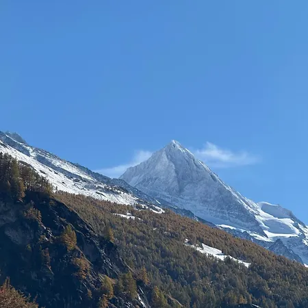 Apartment Eglantier *