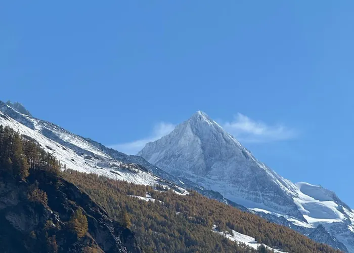 Апартаменты Eglantier *